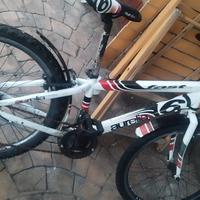 bicicletta Mountain bike 