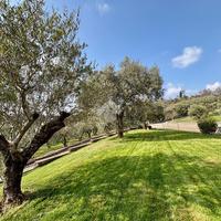 VILLA SINGOLA A SONA