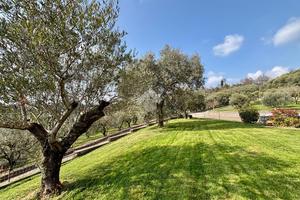 VILLA SINGOLA A SONA