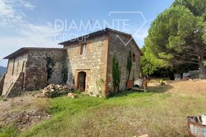 Azienda agricola con casale e 6 ettari di terreno