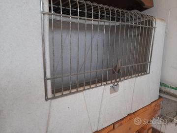 Trasportino allevatori cani taglia media