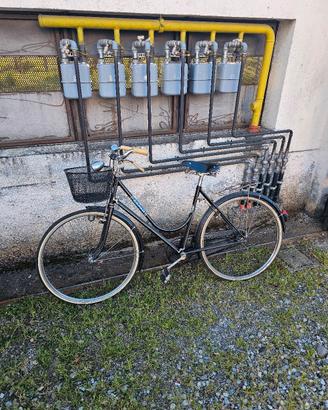Bicicletta Zanar con freni a bacchetta