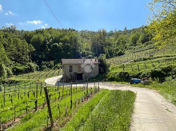 CASA INDIPENDENTE A LOAZZOLO