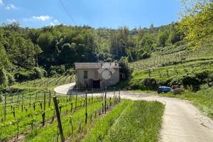 CASA INDIPENDENTE A LOAZZOLO