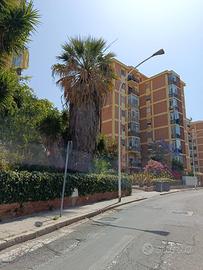 Appartamento - Quartiere del Sole