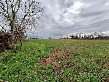 RGE 266/2023 Trib Pavia