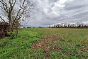 RGE 266/2023 Trib Pavia