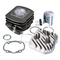 Gruppo termico Polini Honda SFX 1190078