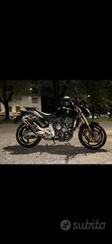 HORNET 600 2007