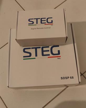 Dsp Steg