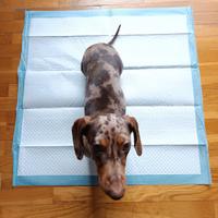 Traversine per cuccioli 60x60 cm