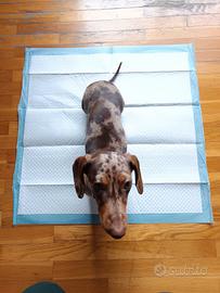 Traversine per cuccioli 60x60 cm