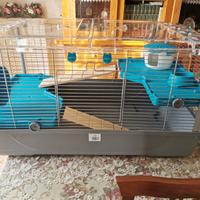 Gabbia criceti roditori 