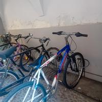 bici carnielli