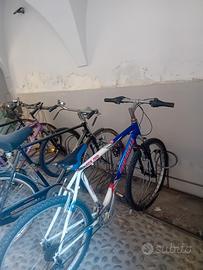 bici carnielli