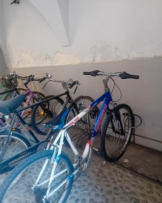 bici carnielli
