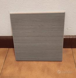 piastrelle in ceramica 