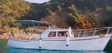 GOZZO in LEGNO metri 8