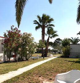 Casa vacanza 50 mt dalla spiaggia Vieste