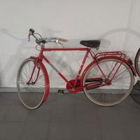 bicicletta stelvio