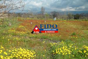 Terrenoa gricolo di 700 mq