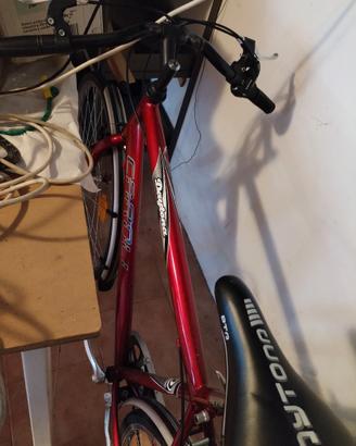 Bicicletta uomo