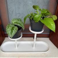 porta vaso 