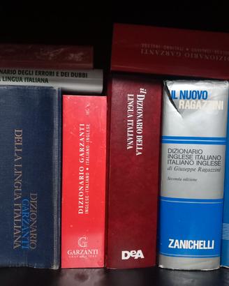 Dizionario 