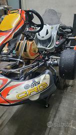 Go Kart CRG. ROTAX 125 max Evo