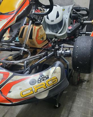 Go Kart CRG. ROTAX 125 max Evo