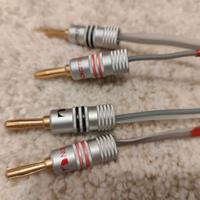 DNM Resolution speakers cable 