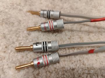 DNM Resolution speakers cable 