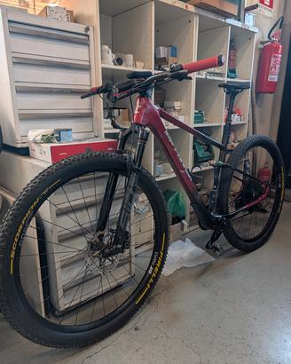 MTB leecougan rampage innova 