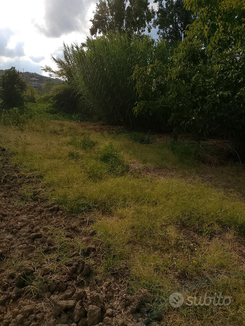 terreno agricolo - Vista 5