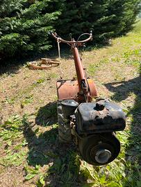 Fresatrice / zappatrice Pasquali