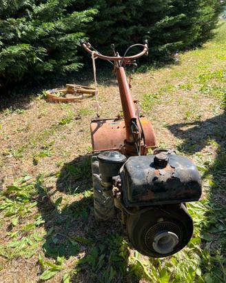 Fresatrice / zappatrice Pasquali