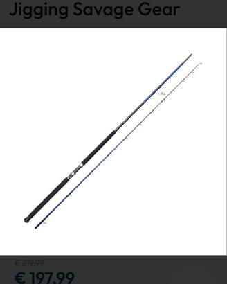 Savage Gear SGS6 Shore Jigging 3.05m 30-100gr