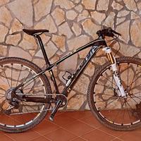 Olympia nitro carbon 29