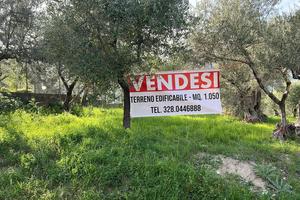 Terreno Edificabile