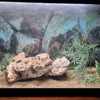 Acquario per pesci d'acqua dolce