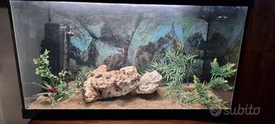 Acquario per pesci d'acqua dolce