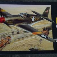 Kit aereo 1:48 - P51A mustang Accurate Miniature