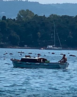 Gozzo in legno (scafo vetroresinato) 6,25m x 2,10m