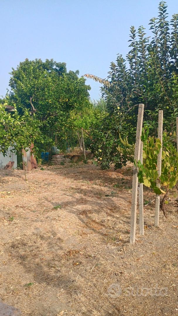 terreno Torregrotta - Vista 2