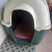 cuccia 