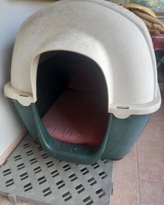 cuccia 