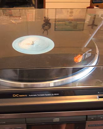 Technics  SL-BD20 giradischi pronto da usare