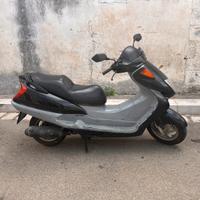 Honda foresight 250
