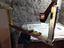Immagine 4