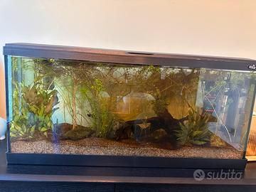 Acquario Zolux Aqua Tana 80 – 80 litri – completo